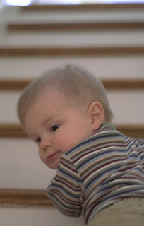 126079887_1d92d326f9_n