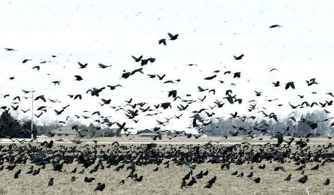 1297380900216_ORIGINAL