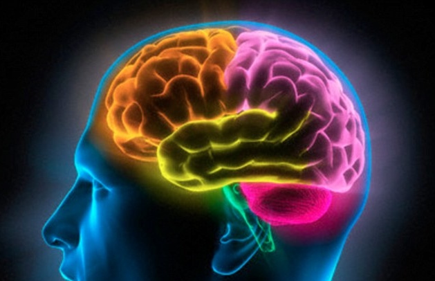 2F8E00B800000578-3369324-The_discovery_means_that_headaches_could_be_prevented_or_allevia-a-34_1450723473653