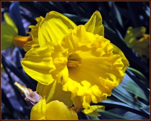 3466502295_5c95466271_b