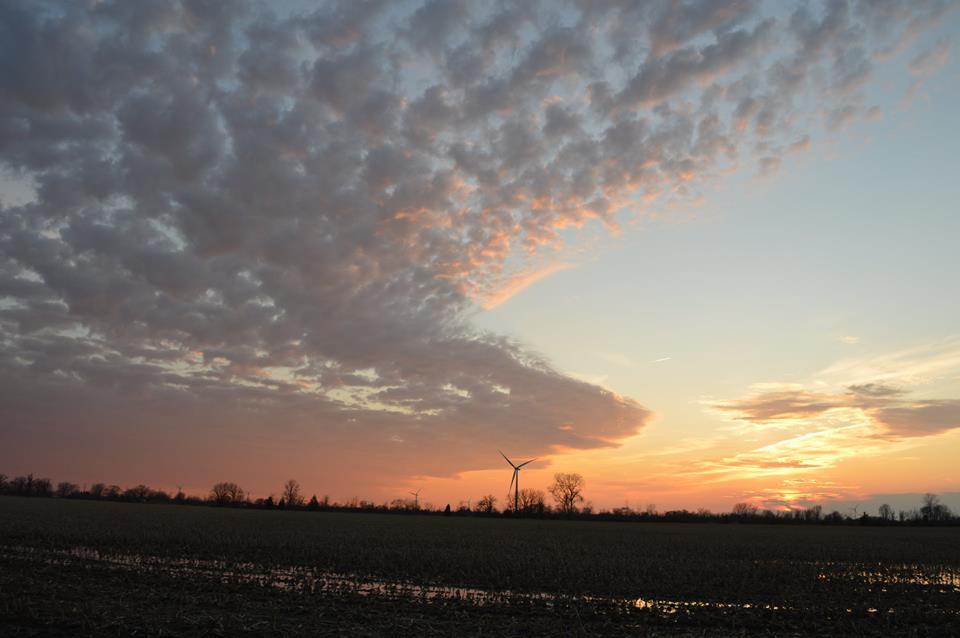 942549_10153999582945169_8051691091391009107_n