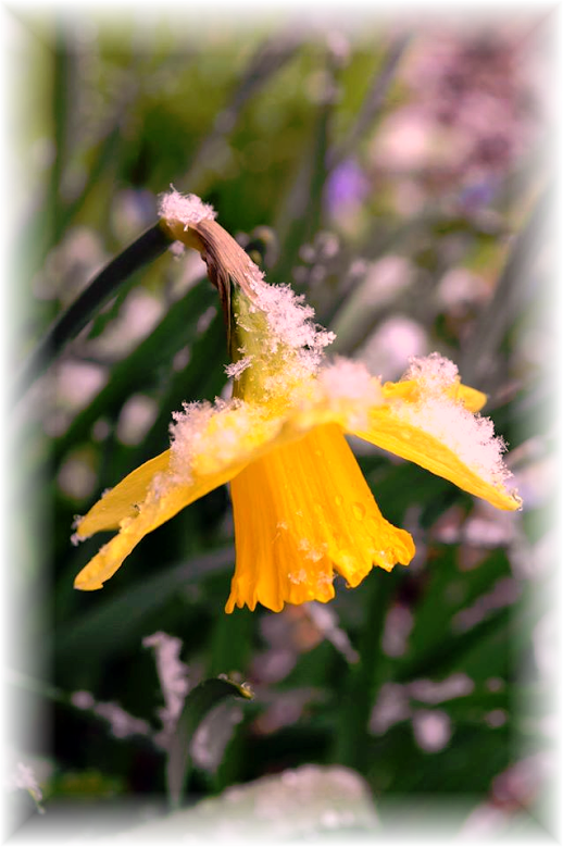 ce53cc87-4e98-414d-b94e-d5c66535eafc