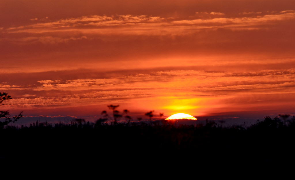 14301042138_9e0b1008ab_b