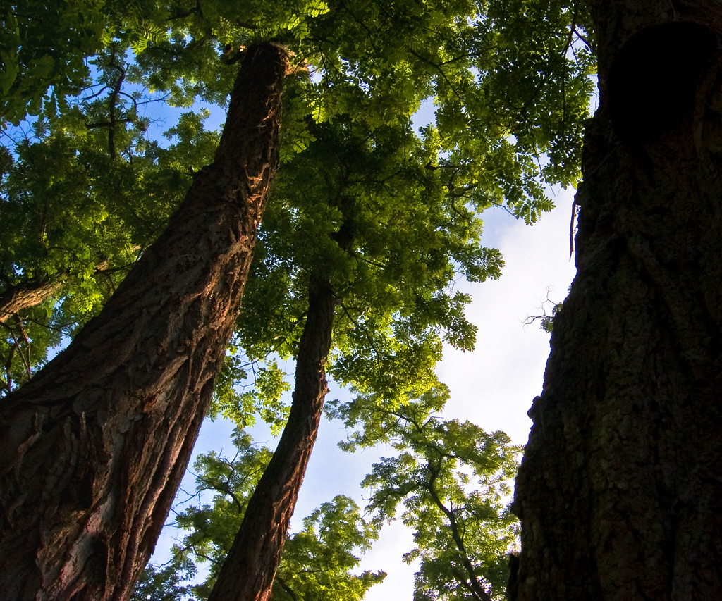 1243243657_29a3e50371_b