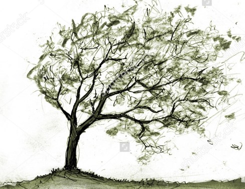 stock-photo-tree-in-storm-16912375