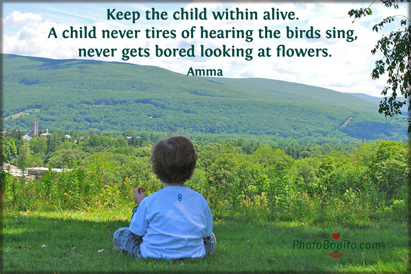 29777792875_f8f5c8c2fc_c