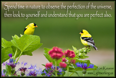 3296504080_2ac19b9501