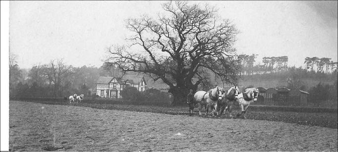 harrowing-hope-farm-1900s