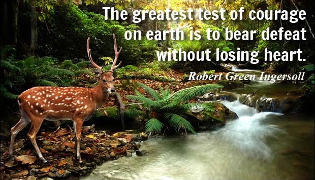 robertgreeningersoll135548