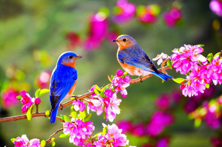 29abfdc0ae700358f2d7cad77ddade0b